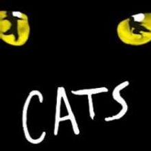 CATS Opens at King's Theatre Glasgow Today