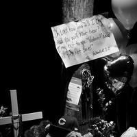 Steppenwolf for Young Adults Announces Chicago Public Library Tour of HOW LONG WILL I CRY?: VOICES OF YOUTH VIOLENCE