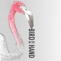 Fulcrum Theater Presents BIRD IN THE HAND at Theater for the New City, Now thru 9/23