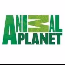 Animal Planet Premieres New Series INSANE POOLS: OFF THE DEEP END tonight