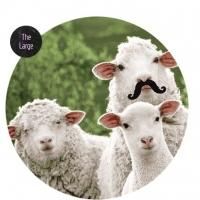 Southwark Playhouse Announces Casting for AS YOU LIKE IT September 18-October 18