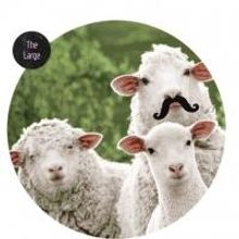 Southwark Playhouse Announces Casting for AS YOU LIKE IT September 18-October 18