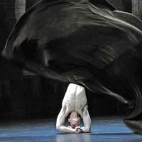 BWW Reviews: THE ORACLE Stunned the Adelaide Audience
