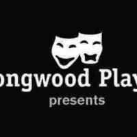 CHESS the Musical runs May 3-11 at Cambridge YMCA Theater