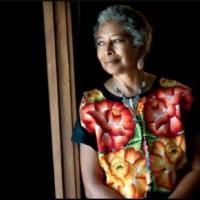 VIDEO: Sneak Peek - THE COLOR PURPLE Author Alice Walker on PBS' AMERICAN MASTERS…