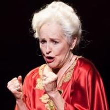 BWW Reviews: Houston Grand Opera's A COFFIN IN EGYPT is Rarely Moving