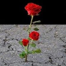 IN THE UNDERWORLD Closes USM Department of Theatre Season, 4/18-27