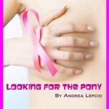 LOOKING FOR THE PONY Opens at Off The Wall Productions Tonight