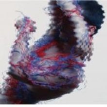 CHUNKY MOVE | AORTA by Stephanie Lake