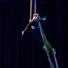 Blue Lapis Light's SHADOWS OF THE HEART Aerial Dance Showcase Set for Tonight