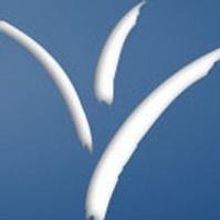 LORD OF THE DANCE CREATED BY MICHAEL FLATLEY Comes to 3Stages, 4/11-13