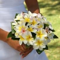 Free Beachfront Vow-Renewals Return to Outrigger Waikiki on the Beach
