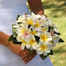 Free Beachfront Vow-Renewals Return to Outrigger Waikiki on the Beach