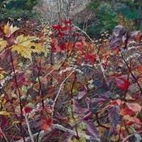 Loeschner Art Competition at Meijer Gardens Now Accepting Entries