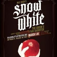 Max Bush's SNOW WHITE Set for Raleigh Little Theatre, Now thru 3/10