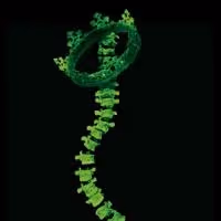 RICHARD III, MEMPHIS>BROADWAY and More Set for Tennessee Shakespeare's 7th Season