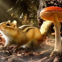 The American Museum of Natural History Presents TINY GIANTS, 1/5-7/5