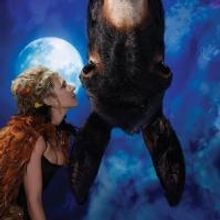 BWW Interviews: Stark Naked Theatre Creatives Talk A MIDSUMMER NIGHT's DREAM
