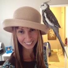 Speaker Shannon Cutts Set for BEAUTY UNDRESSED Talk at Molloy College Tonight