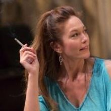 Photo Flash: First Look at Diane Lane, Tony Shalhoub & More in LCT's THE MYSTERY OF…