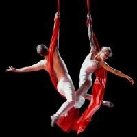 Cirque de la Symphonie, Hairy Maclary and Friends and More Set for QPAC's Easter…