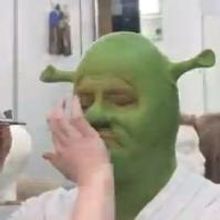 STAGE TUBE: Jason Marks Goes Green for Virginia Rep's SHREK: THE MUSICAL