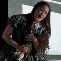 Video: Watch a Preview of the COC's LUCIA DI LAMMERMOOR; Opens Tonight! Photo