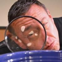 Triangle to Present Steven Tomlinson's AMERICAN FIESTA, 11/27-12/22