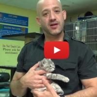 VIDEO: One Picture Saves a Life Workshops Make Shelter Pets Into Photo Stars