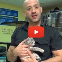 VIDEO: One Picture Saves a Life Workshops Make Shelter Pets Into Photo Stars Video