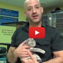 VIDEO: One Picture Saves a Life Workshops Make Shelter Pets Into Photo Stars