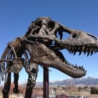 The Smithsonian Welcomes THE NATION'S T. REX to D.C. and Launches Largest Renovation…
