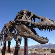 The Smithsonian Welcomes THE NATION'S T. REX to D.C. and Launches Largest Renovation…