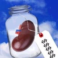 IRT Theater Presents USELESS, 8/14-24