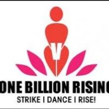 Berkshire County Joins ONE BILLION RISING Day, 2/14