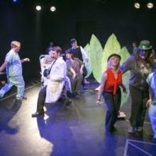 Photo Flash: First Look at The Brown Paper Box Co.'s A NEW BRAIN