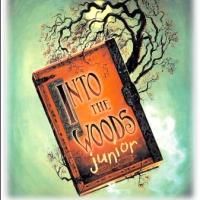 Registration Open for INTO THE WOODS JR With WHBPAC's Teen Theatre Project