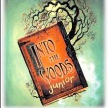 Registration Open for INTO THE WOODS JR With WHBPAC's Teen Theatre Project