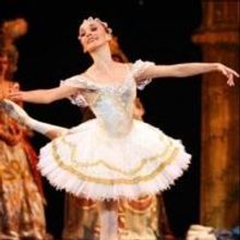 SLEEPING BEAUTY, DOCTOR DOCTOR and More Set for Artscape, Now thru Aug 28