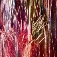 Brooklyn Museum Presents JUDY CHICAGO: ON FIRE Today