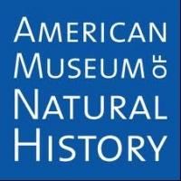 AMNH Hosts 2013 Winter Dance Tonight