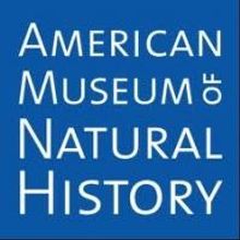 AMNH Hosts 2013 Winter Dance Tonight