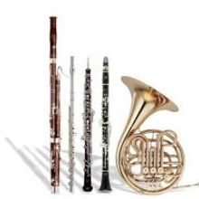 Ann Arbor Symphony Orchestra to Perform Recital Featuring Woodwind Quintet, 11/1
