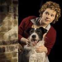 Young People's Theatre to Present ANNIE, 11/11-12/19