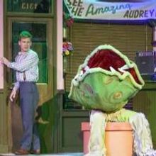 BWW Reviews: Stray Dog Theatre's Darkly Funny Production of LITTLE  SHOP OF HORRORS
