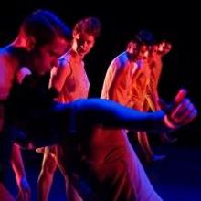 BWW Reviews: REVERBDANCE FESTIVAL 2014