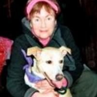 Playwrights for Pets Presents The Money Tree November 3-4
