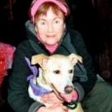 Playwrights for Pets Presents The Money Tree November 3-4