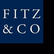 Fitz & Co, Pixel Union Launch New Tumblr Theme READYMADE