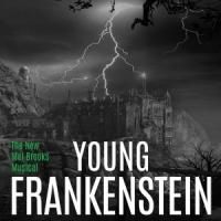 Civic Theatre's YOUNG FRANKENSTEIN Begins Tonight